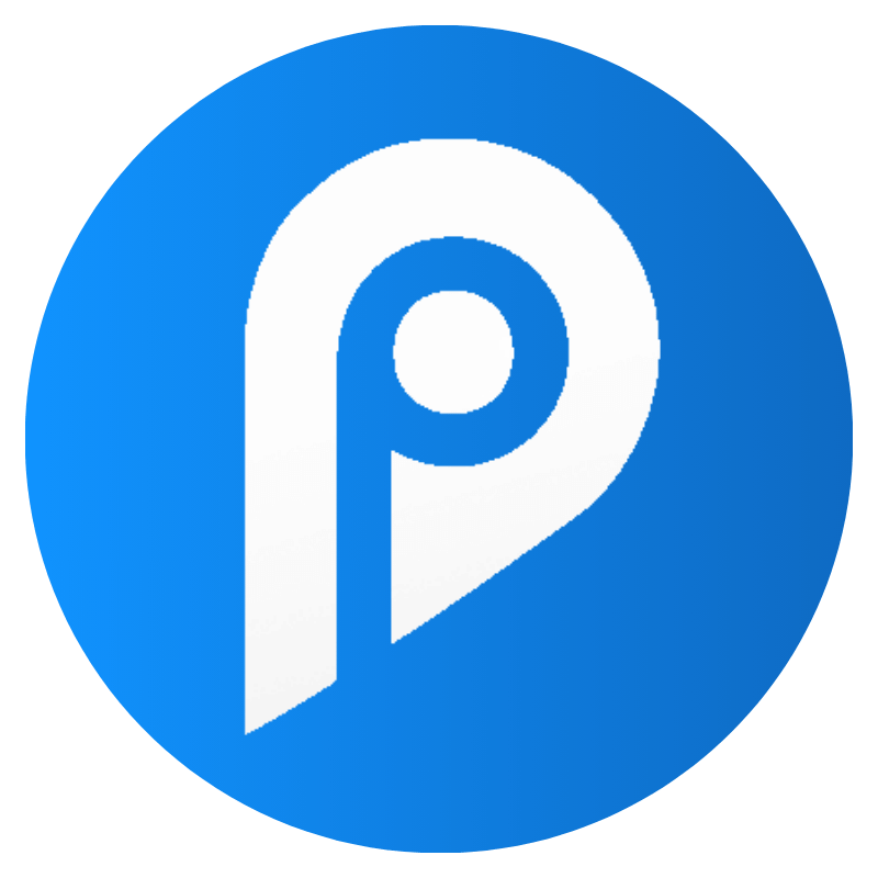 Pinpoint Icon Gradient circular white logo